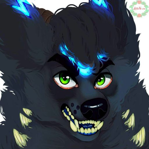 Commission Furry Amino