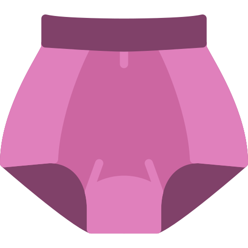 Panties Underwear Png Icon