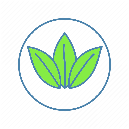 Eco, Eco Friendly, Ecological, Environment, Natural, Nature