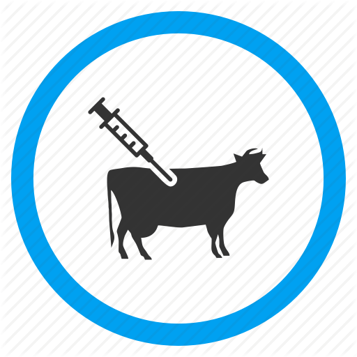 Cattle, Cow Vaccination, Injection, Medical Needle, Medicine