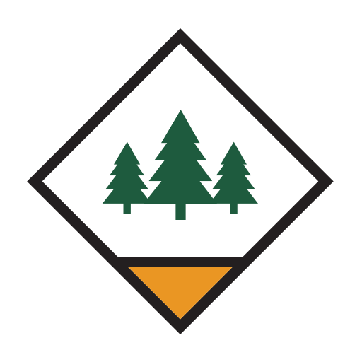 Medium Is Fixing The Broken Ad Model An Interview With Caitlin