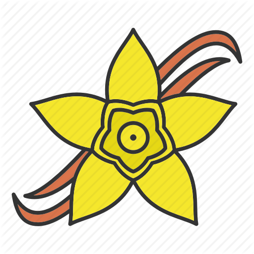 Culinary, Dessert, Flavor, Flower, Ingredient, Spice, Vanilla Icon