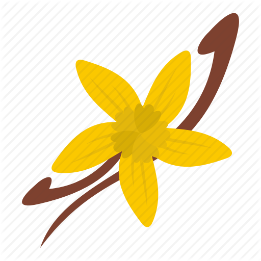 Flavor, Flower, Natural, Nature, Organic, Spice, Vanilla Icon