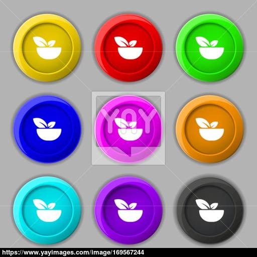 Organic Food Icon Sign Symbol On Nine Round Colourful Buttons