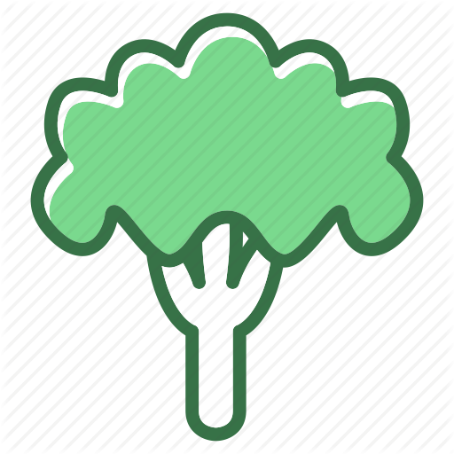 Cauliflower, Cooking, Food, Vegetable Icon