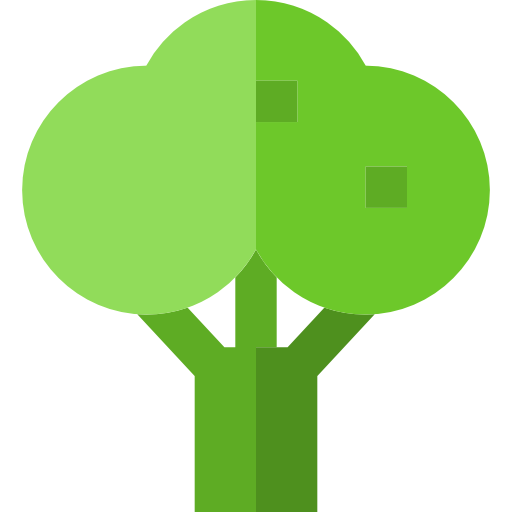 Vegan, Broccoli, Vegetable Icon