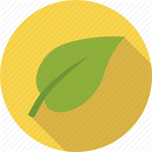 Vegetarian Icon Png
