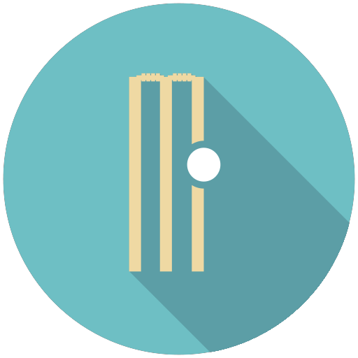 Wickets Icon
