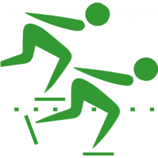 Viking Icon Paint Repair