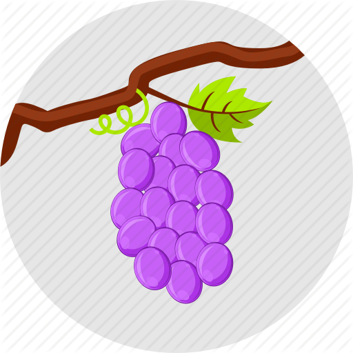 Autumn Fruits, Grapes, Vine, Vineyard Icon
