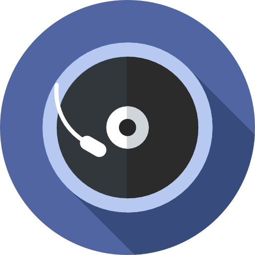 Vinyl Icon