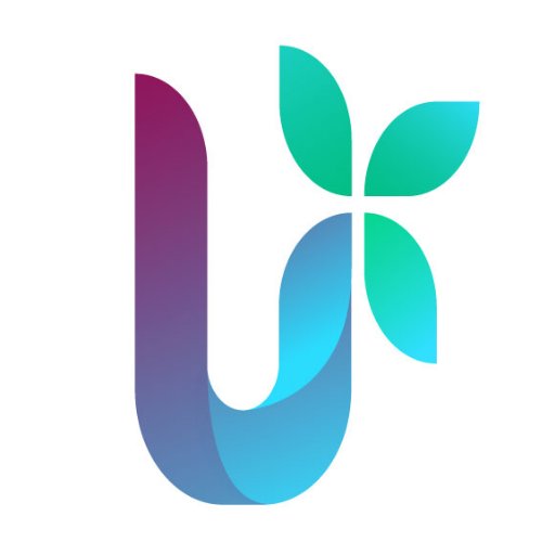 Hire Virtual Assistant