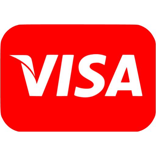 Red Visa Icon