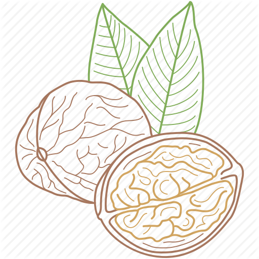 Food, Healthy Food, Nature, Nuts, Walnut, Walnuts Icon
