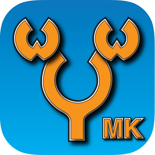 While You Wait Walt Disney World Magic Kingdom