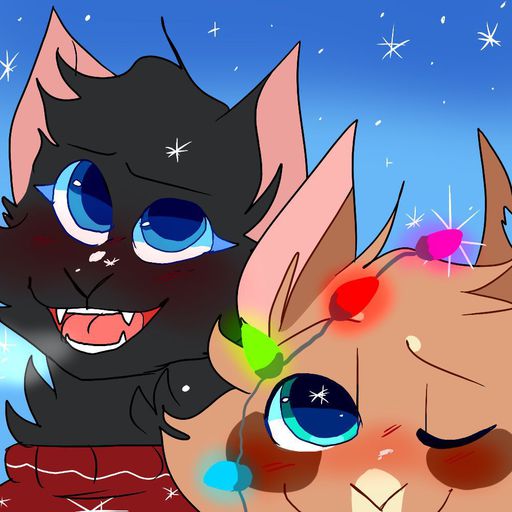 Warrior Cats The Secret Clan