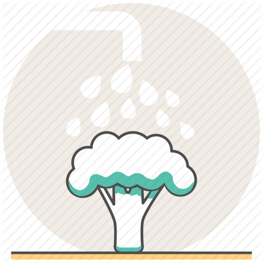 Broccoli, Concept, Cooking, Healthy, Vegetables, Washing Icon
