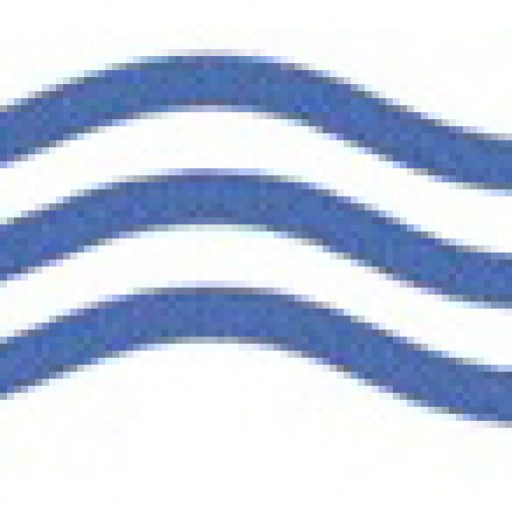 Cropped Wave Icon Ri Center For The Book