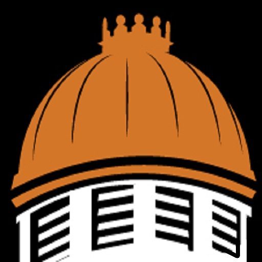 Cropped Web Icon Dome