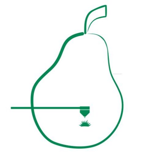 Cropped Web Icon Pear Tree Design And Cut