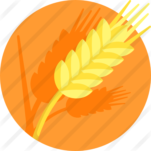 Wheat