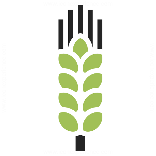 Wheat Icon Iconexperience