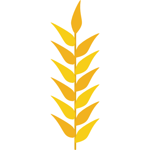 Grains, Wheat Plant, Wheat Grain, Nature, Food, Grain, Wheat Icon