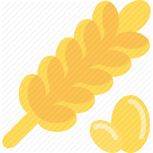 Corn, Food, Plant, Wheat Icon