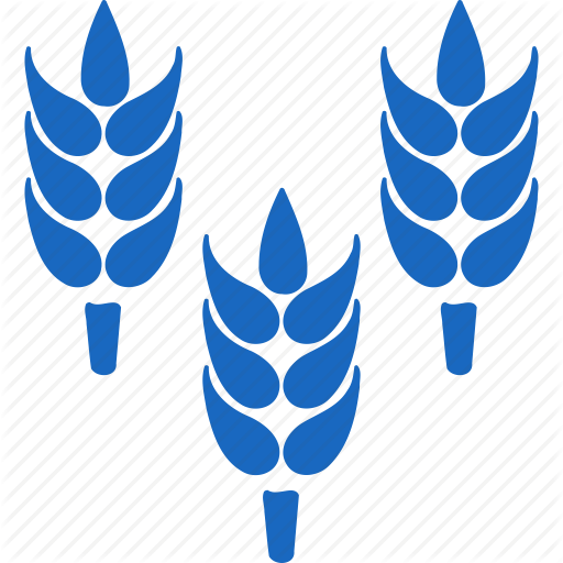 Rice, Illustration, Wheat, Transparent Png Image Clipart Free