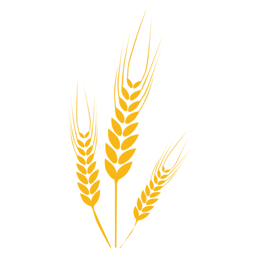 Wheat Food Plant