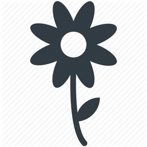 Bloodroot, Bloodroot Flower, Flower, Nature, Spring Flower Icon