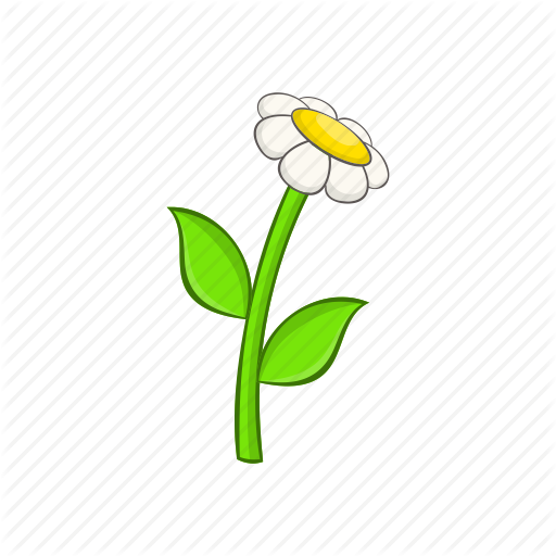 Cartoon, Chamomile, Floral, Flower, Plant, Spring, White Icon