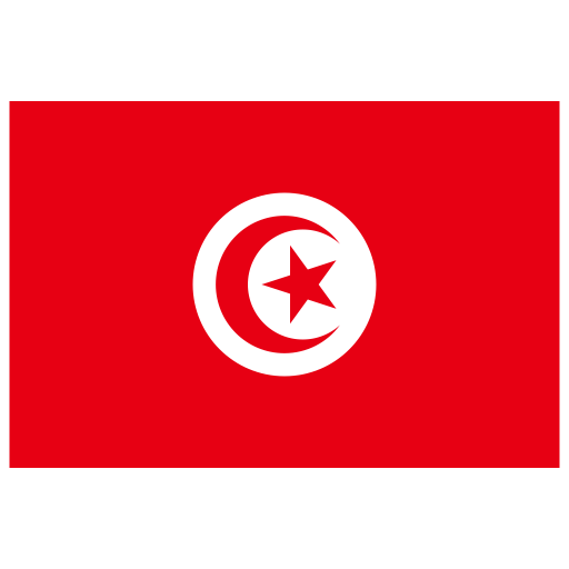 Tn Tunisia Flag Icon