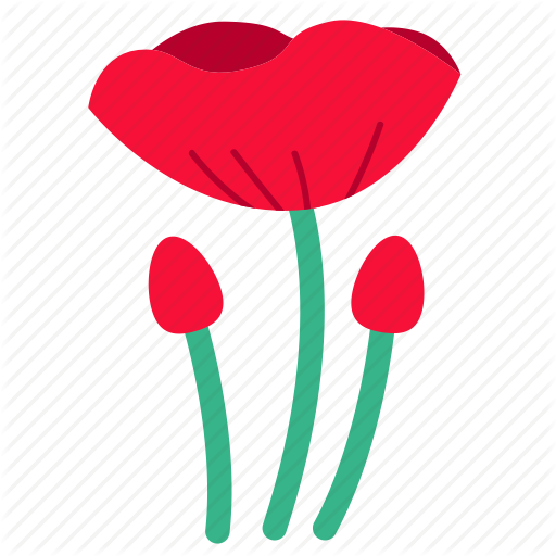 Floral, Flower, Flowers, Opium, Poppy, Red, Wildflower Icon
