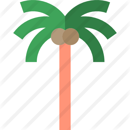 Palm Tree