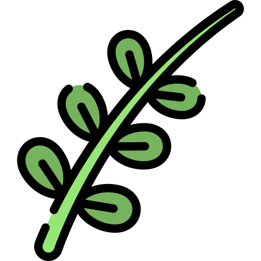Willow Png Icon