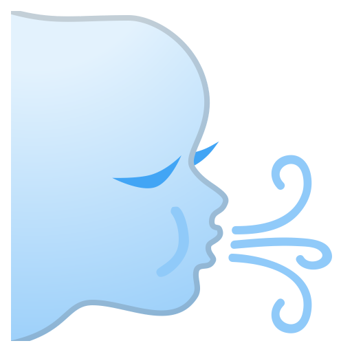 Wind Face Icon Noto Emoji Travel Places Iconset Google
