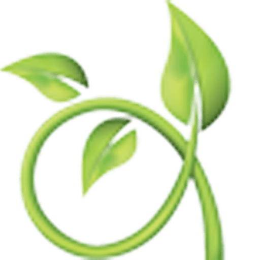 Wisdom Web Consulting Awesome Web Sites For Nonprofits And Small