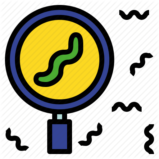 Definite, Exact, Glass, Magnifying, Specific, Worm Icon