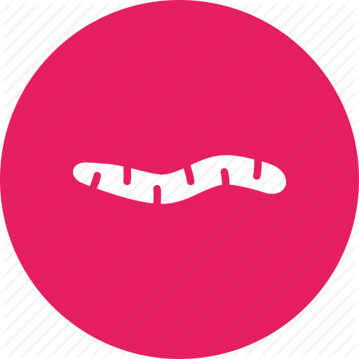 Earthworm, Farming, Fertilizer, Gardening, Growing, Vermiculture