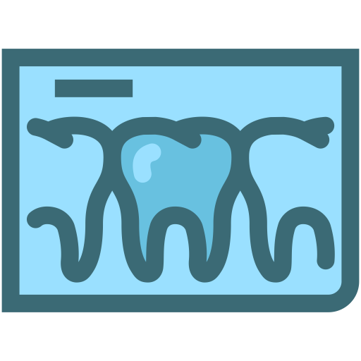 Dentist, Tooth, Dental, Dentistry, X Rays, Dental Records, Tooth X