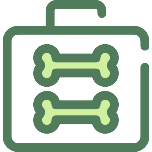 X Rays, Healthcare And Medical, Medical, Skeleton, Bones, X Ray Icon
