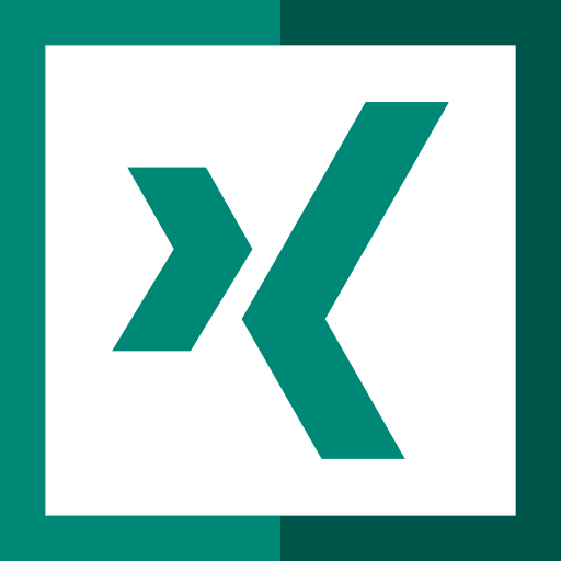 Xing Png Icon