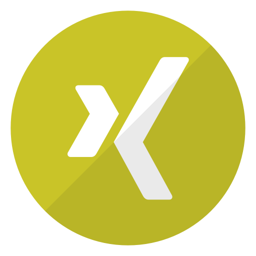 Xing Icon