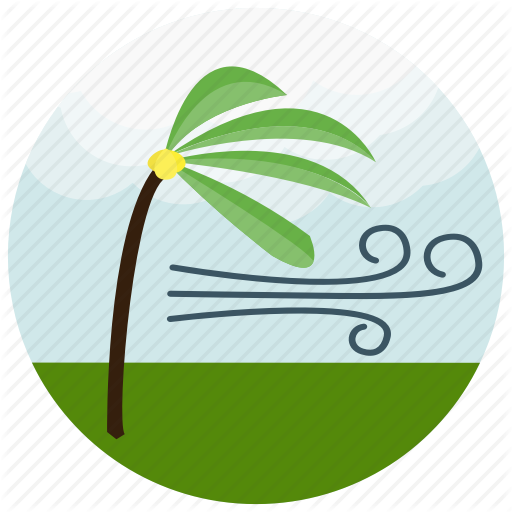 Forecast, Palm, Strong, Tree, Weather, Wind Icon