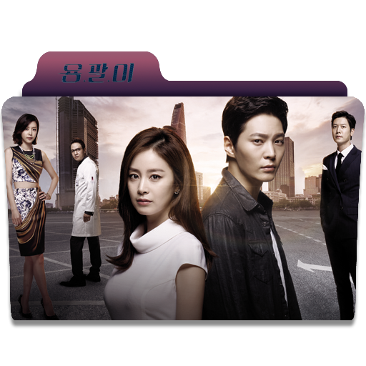 Yong Pal Folder Icon