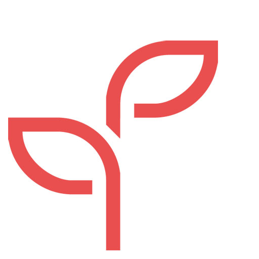 Youth Social Action Should Be Embedded In Education And Culture