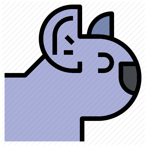 Animal, Animals, Kingdom, Koala, Life, Wild, Zoo Icon