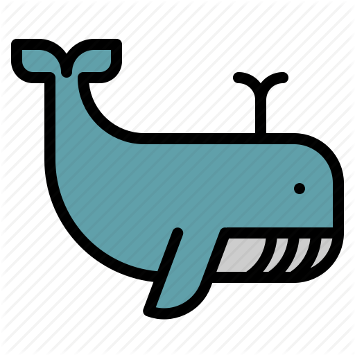 Animal, Animals, Whale, Wildlife, Zoo Icon