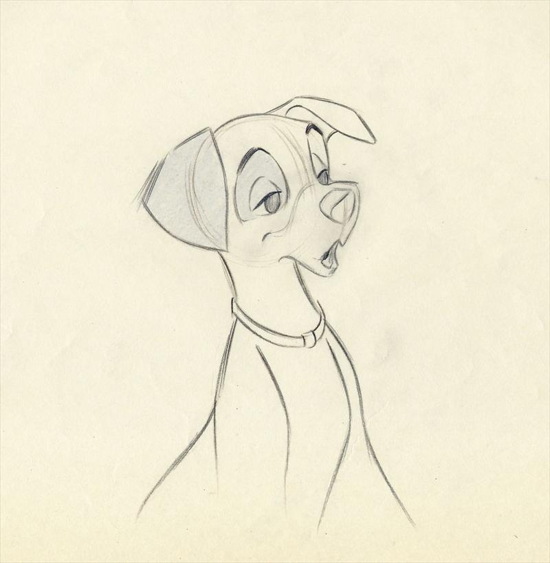 800x819 Disney 101 Dalmatians Animation Drawing